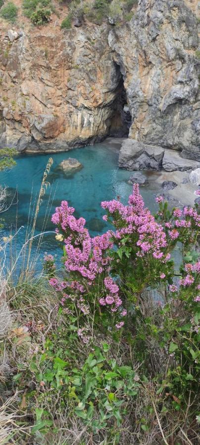 La Casa Del Sole Lejlighed San Nicola Arcella Eksteriør billede